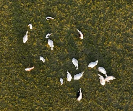 Eiker Gårdsysteri and the surrounding area